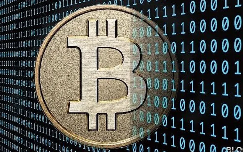 新手保护资产操作步骤